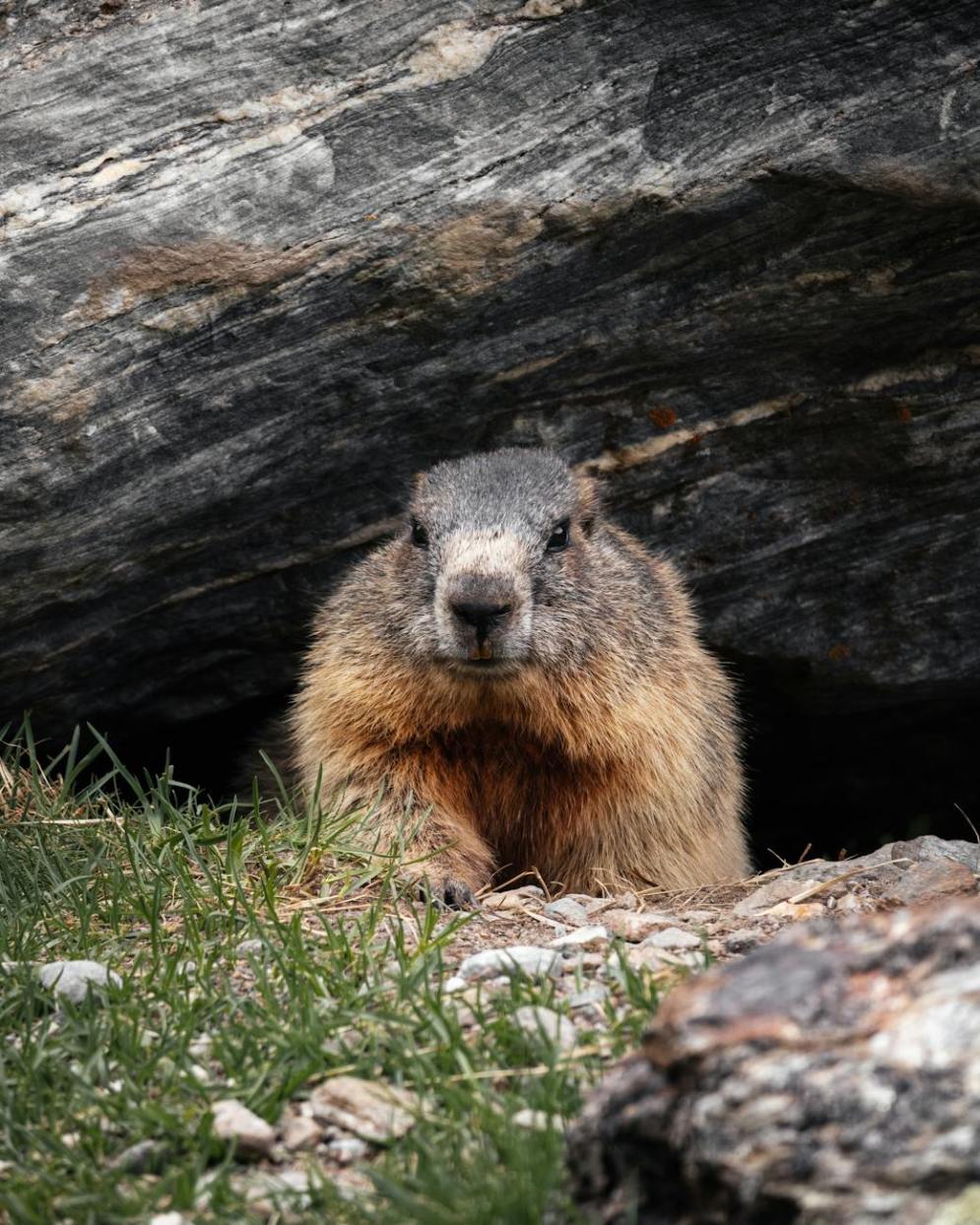 Cautionary Tale: changing brokers when you have a&nbsp;RRIF