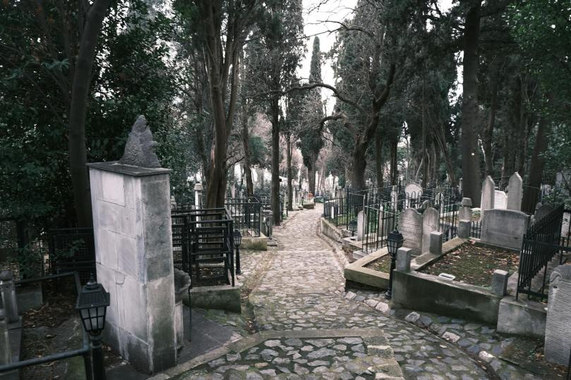 Death, Taxes and Estates: Part&nbsp;1