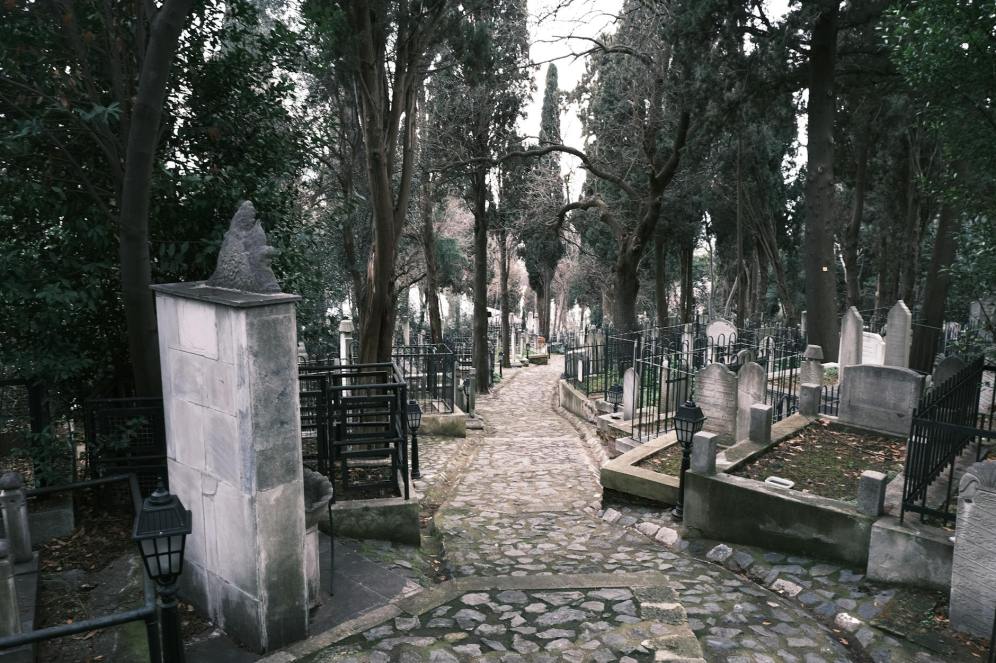 Death, Taxes and Estates: Part&nbsp;1